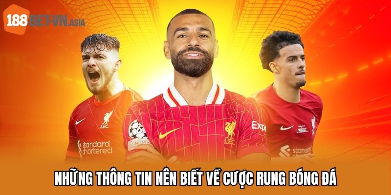 Những thông tin nên biết về cược rung bóng đá